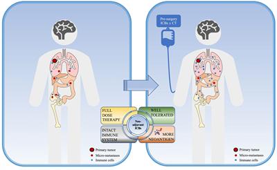 Frontiers | Progress On Neoadjuvant Immunotherapy In Resectable Non ...